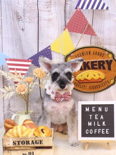 20240922コーラちゃん